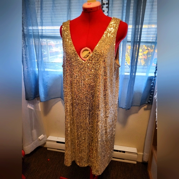Large Sparkly Reitmans Dress - Picture 2 of 5